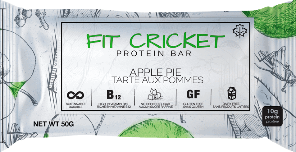 Fit Cricket Apple Pie protein bar 
