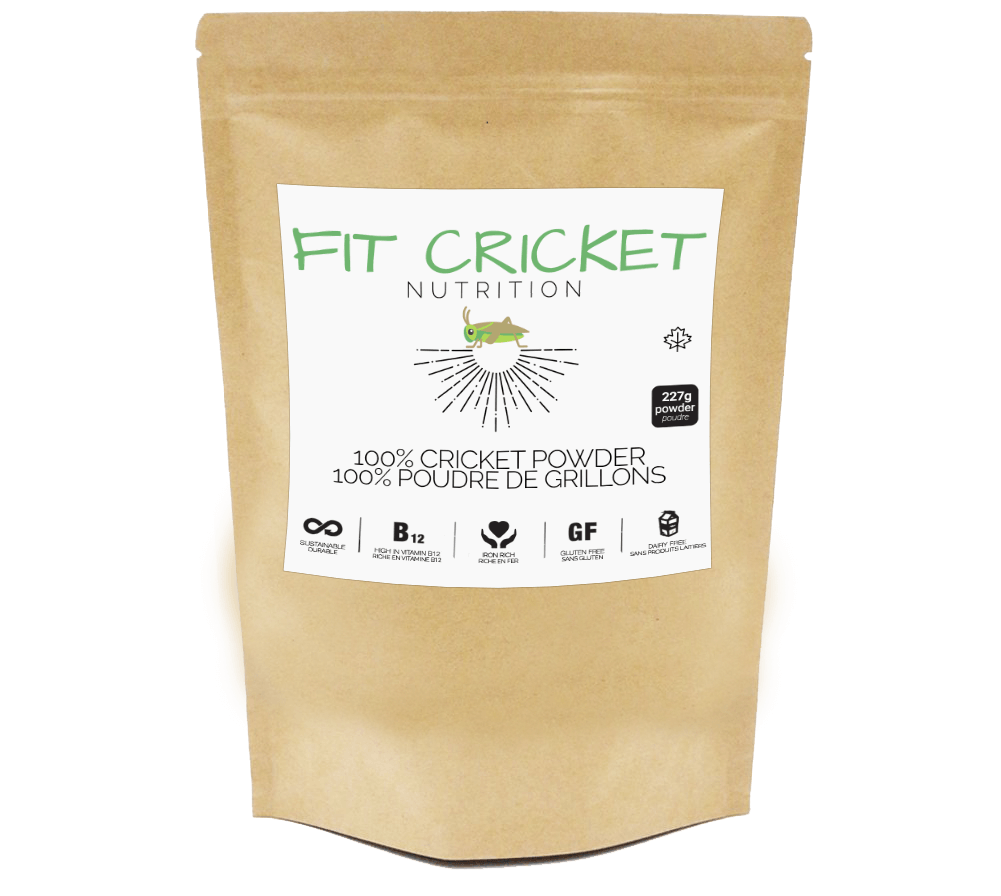 Fit Cricket Protein Powder