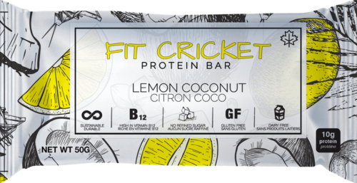 Fit Cricket cricket protein bar, lemon coconut