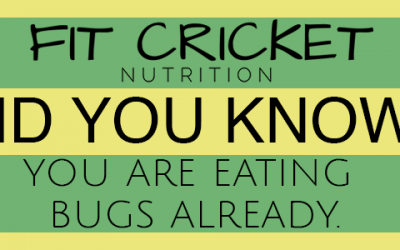 Consider Crickets, Since You’re Eating Bugs Anyways!