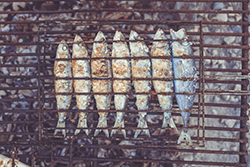 A Barbeque Grill full of fish 